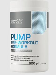 Ostrovit Pump Pre-Workout Formula 500 g cena un informācija | Vitamīni, preparāti, uztura bagātinātāji labsajūtai | 220.lv