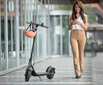 Segway AA.00.0011.90 цена и информация | Elektriskie skrejriteņi | 220.lv