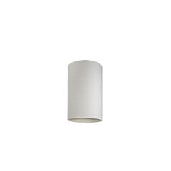 Nowodvorski Lighting gaismekļa plafons 8526 Cameleon Barrel S White cena un informācija | Lustras | 220.lv