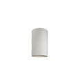 Nowodvorski Lighting gaismekļa plafons 8526 Cameleon Barrel S White