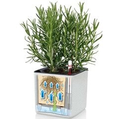 LECHUZA augu kastes, 3 gab., Green Wall Home Kit, baltas cena un informācija | Puķu podi | 220.lv