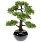 Emerald zīmola mākslīgais fikusa bonsai koks, 47 cm, zaļš, 420006 цена и информация | Mākslīgie ziedi | 220.lv