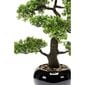 Emerald zīmola mākslīgais fikusa bonsai koks, 47 cm, zaļš, 420006 цена и информация | Mākslīgie ziedi | 220.lv