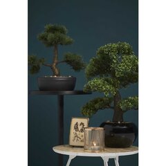 Emerald zīmola mākslīgais fikusa bonsai koks, 47 cm, zaļš, 420006 cena un informācija | Mākslīgie ziedi | 220.lv