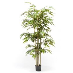 Emerald mākslīgais bambuss, 150 cm cena un informācija | Mākslīgie ziedi | 220.lv