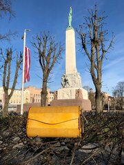 Уникальная деревянная сумочка для женщин желтого цвета цена и информация | Женские сумки | 220.lv