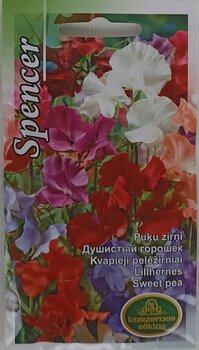 Цветочный горошек Spencer, 2 шт. цена и информация | Семена цветов | 220.lv