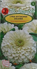 Цинния, белыe, 2 шт. цена и информация | Семена цветов | 220.lv