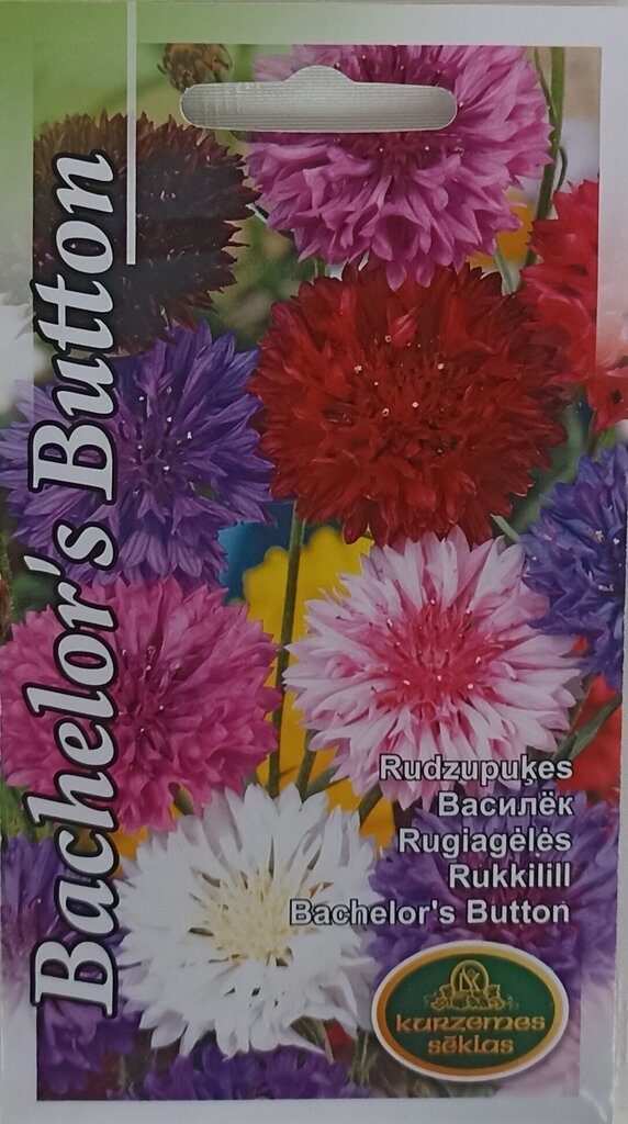 Rudzupuķes Bachelor's Button, 2 gb cena un informācija | Puķu sēklas | 220.lv