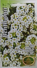 Алиссум Benthamii, 2 шт. цена и информация | Семена цветов | 220.lv