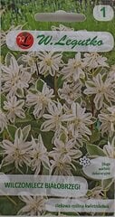 Молочай окаймленный (Euphorbia marginata), 2 шт. цена и информация | Семена цветов | 220.lv