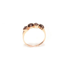 Золотое кольцо с гранатом ZGT101015606G цена и информация | Кольца | 220.lv
