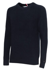 Džemperis vīriešiem Tommy Hilfiger 8720112013003, zils цена и информация | Мужские свитера | 220.lv
