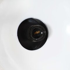 vidaXL griestu lampa, industriāls dizains, melna, 32 cm, E27 цена и информация | Настенный/подвесной светильник Eye Spot 11 BL, чёрный | 220.lv