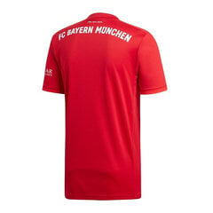 Футболка мужская Adidas FC Bayern Home Jsy DW7410, красная цена и информация | Мужские футболки | 220.lv