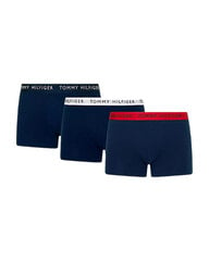 Apakšbikses vīriešiem Tommy Hilfiger BFN-G-335178, 3 gab. цена и информация | Мужские трусы | 220.lv