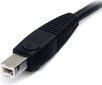 StarTech, DP4N1USB6 USB, DisplayPort, Audio, 1.8 m цена и информация | Kabeļi un vadi | 220.lv