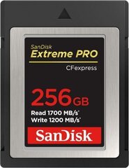 SanDisk CFexpress 256GB cena un informācija | Sandisk Mobilie telefoni, planšetdatori, Foto | 220.lv