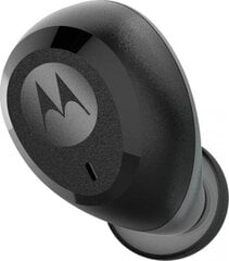 Motorola Vervebuds 100 цена и информация | Наушники | 220.lv