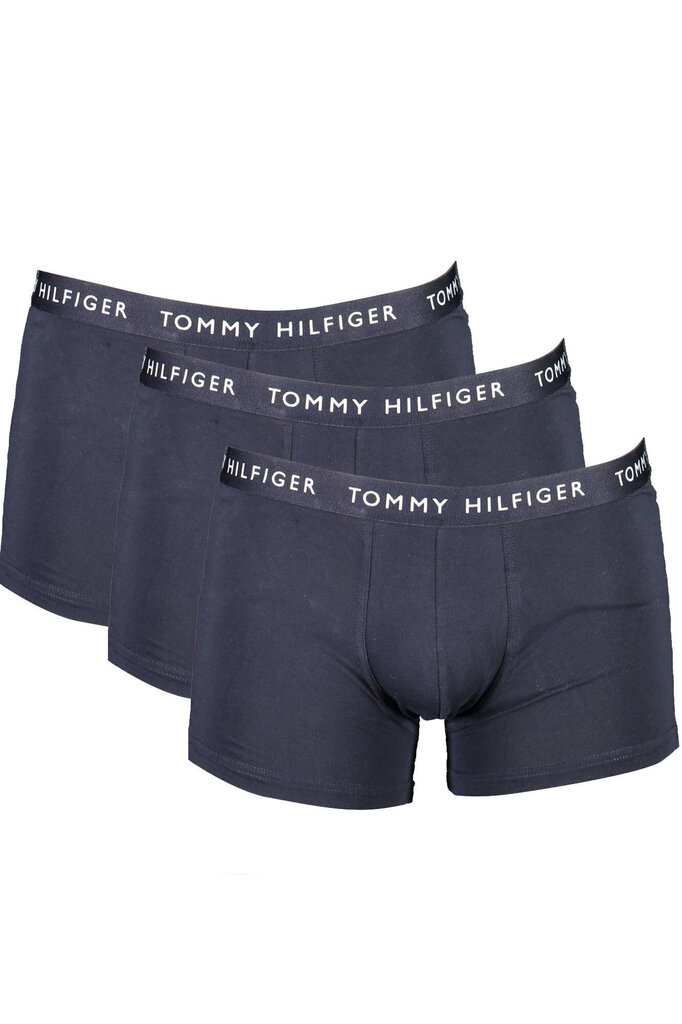 Apakšbikses vīriešiem Tommy Hilfiger UM0UM02203, 2 gab. cena un informācija | Vīriešu apakšbikses | 220.lv