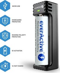 EverActive Universal — 1 зарядное устройство для литий-ионных аккумуляторов LC100 цена и информация | Зарядные устройства для элементов питания | 220.lv