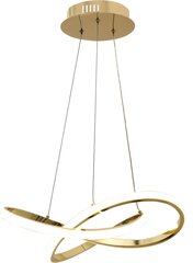 Piekaramā LED lampa ar tālvadības pulti Infinity, Gold цена и информация | Люстры | 220.lv