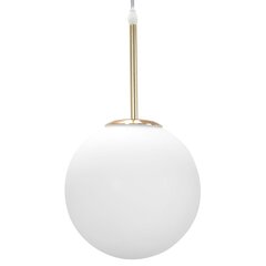 Piekaramā lampa Milky 1, gold cena un informācija | Lustras | 220.lv