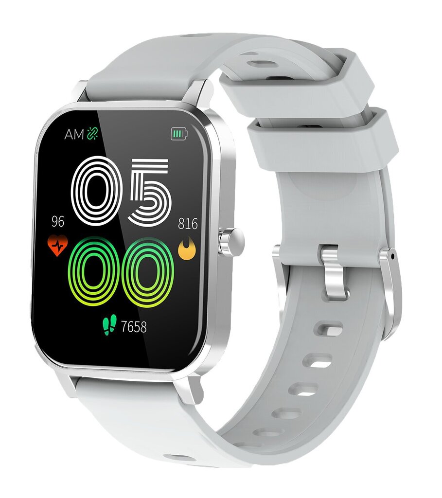 Denver SW-181 Grey цена и информация | Viedpulksteņi (smartwatch) | 220.lv