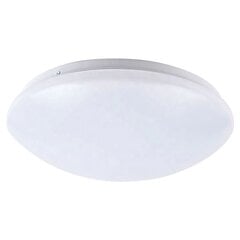 Griestu LED gaismeklis Urania, 26 cm, White cena un informācija | Griestu lampas | 220.lv