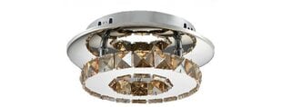 Griestu LED gaismeklis Crystal Round, 3000K цена и информация | Потолочные светильники | 220.lv