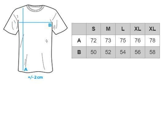 Vīriešu T-krekls Ombre S1370 pelēks цена и информация | Vīriešu T-krekli | 220.lv