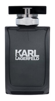 Vīriešu smaržas Karl Lagerfeld Pour Homme Lagerfeld EDT: Tilpums - 100 ml cena un informācija | Vīriešu smaržas | 220.lv