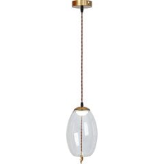 Piekaramā LED lampa Modern Knot A, Transparent cena un informācija | Lustras | 220.lv