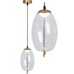 Piekaramā LED lampa Modern Knot A, Transparent цена и информация | Люстры | 220.lv