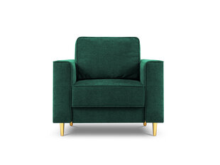 Кресло Cosmopolitan Design Fano, зеленое/золотистое цена и информация | Кресла в гостиную | 220.lv