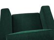 Krēsls Cosmopolitan Design Fano, zaļš/melns cena un informācija | Atpūtas krēsli | 220.lv