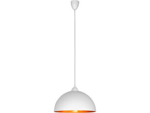 Nowodvorski подвесной светильник Hemisphere S 4893 цена и информация | Люстры | 220.lv