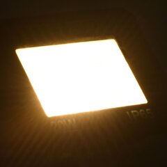 vidaXL LED prožektors, 20 W, silti balta gaisma cena un informācija | Lukturi | 220.lv