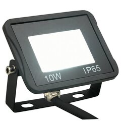 vidaXL LED prožektors, 10 W, vēsi balta gaisma cena un informācija | Lukturi | 220.lv