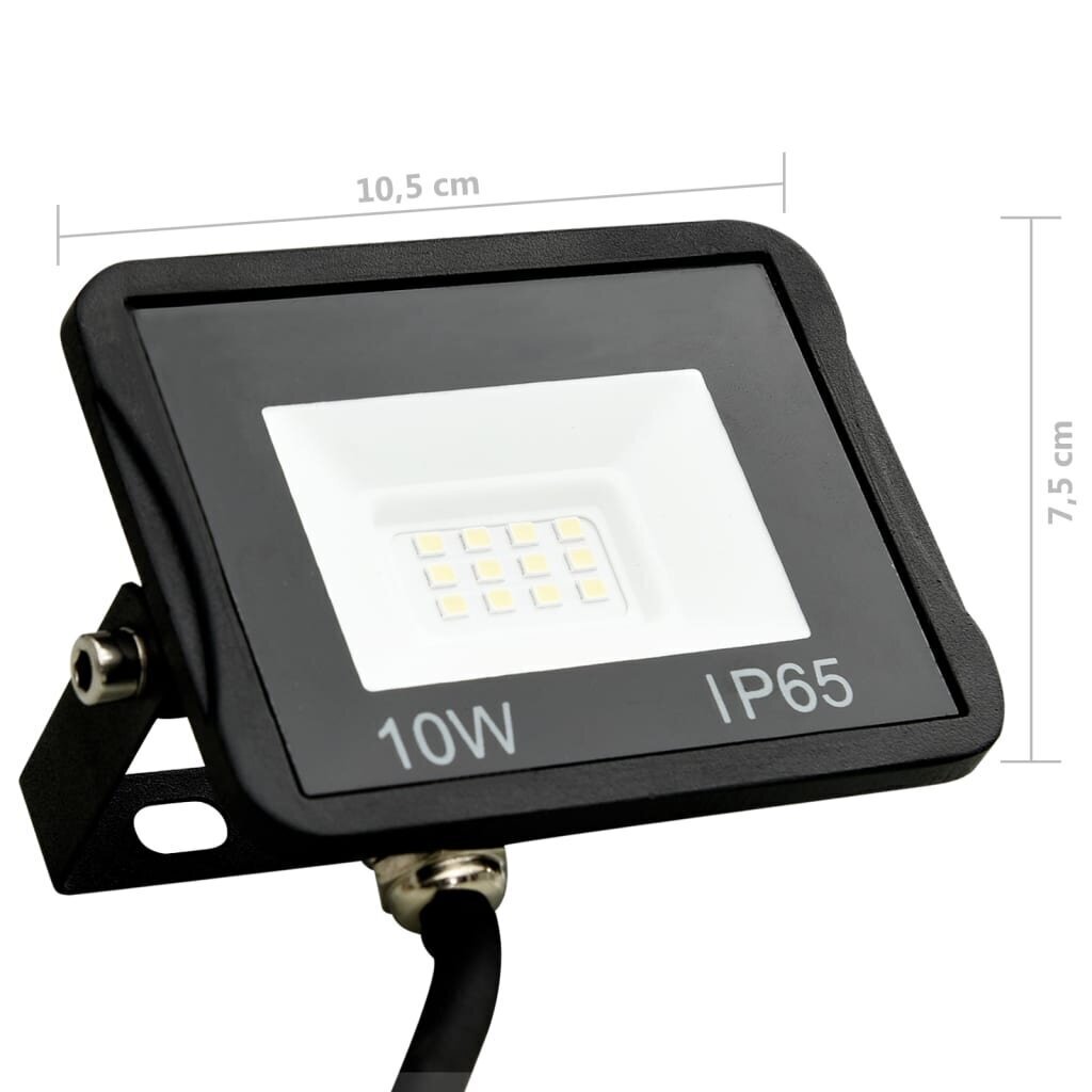 vidaXL LED prožektors, 10 W, vēsi balta gaisma цена и информация | Lukturi | 220.lv