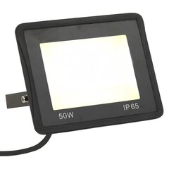 vidaXL LED prožektors, 50 W, silti balta gaisma cena un informācija | Lukturi | 220.lv