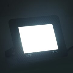 vidaXL LED prožektori, 2 gab., 50 W, vēsi balta gaisma cena un informācija | Lukturi | 220.lv
