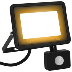 vidaXL LED prožektors ar sensoru, 30 W, silti balta gaisma cena un informācija | Lukturi | 220.lv