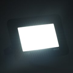 vidaXL LED prožektors, 30 W, vēsi balta gaisma cena un informācija | Lukturi | 220.lv