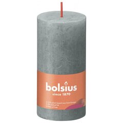 Bolsius cilindriskas sveces Shine, 8 gab., 100x50 mm, eikalipta zaļas cena un informācija | Sveces un svečturi | 220.lv