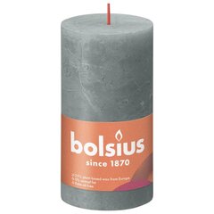 Bolsius cilindriskas sveces Shine, 6 gab., 130x68 mm, eikalipta zaļas cena un informācija | Sveces un svečturi | 220.lv
