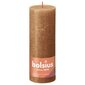 Bolsius cilindriskas sveces Shine, 6 gab., 190x68 mm, brūnas cena un informācija | Sveces un svečturi | 220.lv