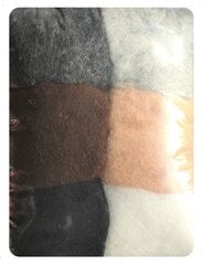 Набор шерсти для валяния, 200 г, 6 цветов цена и информация | Принадлежности для валяния | 220.lv