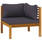 Divvietīgs dārza dīvāns vidaXL ar matračiem, brūns cena un informācija | Dārza krēsli | 220.lv