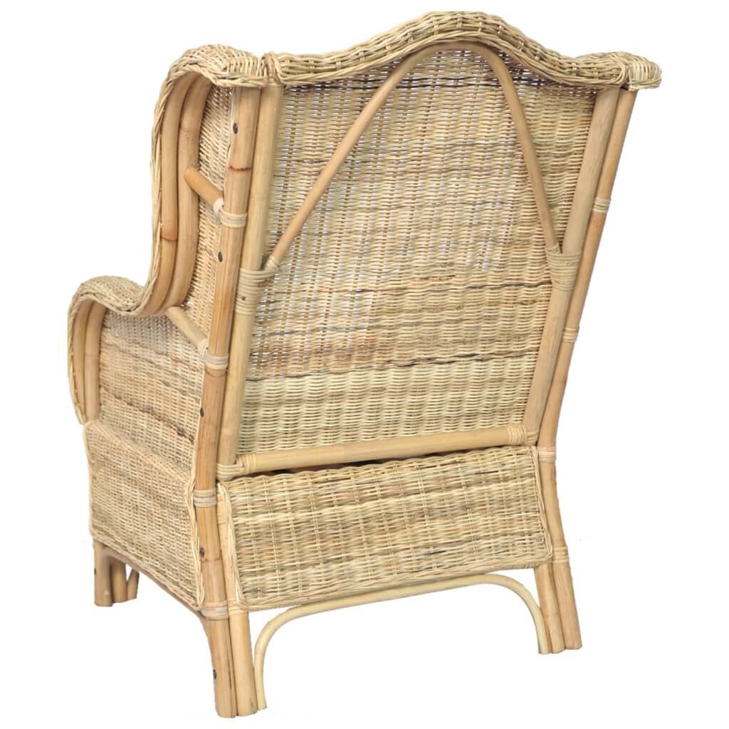 Krēsls ar spilvenu, brūns cena un informācija | Dārza krēsli | 220.lv